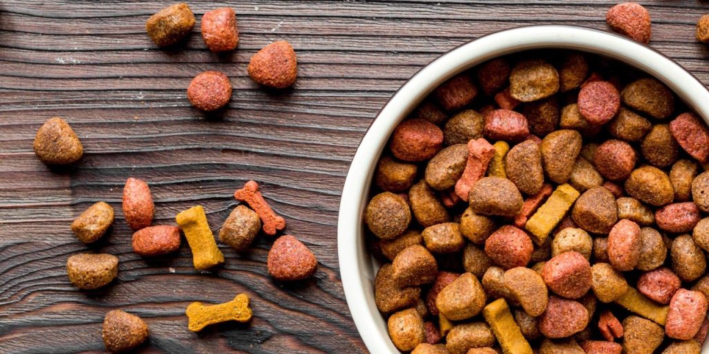 The 10 Best Dry Dog Food Brands For 2024