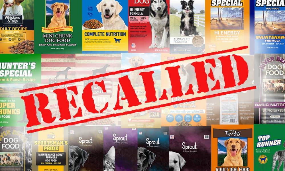 Recall Alert: Dozens of Dog Food Brands Recalled Over Deadly Levels of Vitamin D