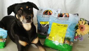 "Wysong Dog Food Review (2024): Best Food"