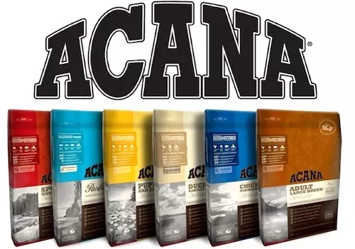 Acana Dog Food Review (2024) Best Food