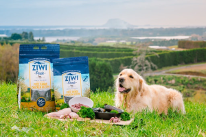 Ziwi Peak Dog Food Review (2024) - Premium Food