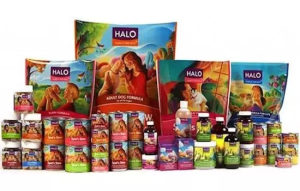 Halo Dog Food Review (2024) Best Food