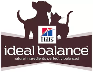 Hill’s Dog Food Review (2024) Best Food