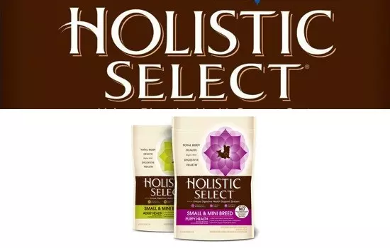 Holistic Select Dog Food Review (2024) Best Food