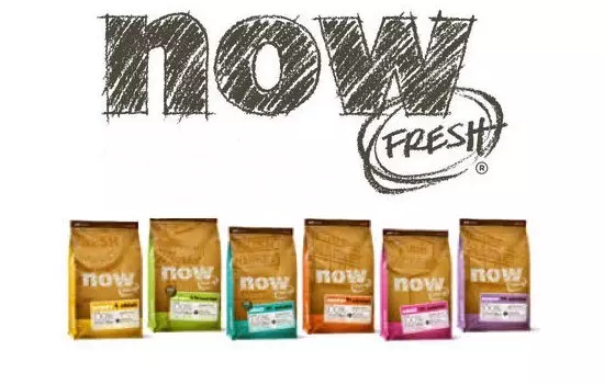 Now Fresh Dog Food Review (2024) Best Food