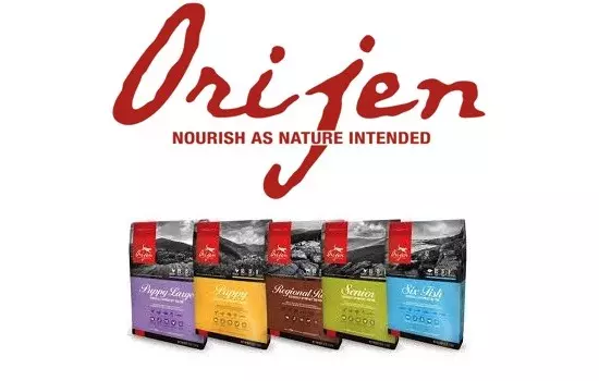 Orijen Dog Food Review (2024) Best Food