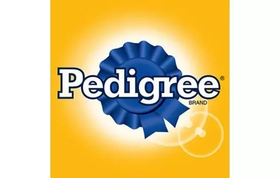 Pedigree Dog Food Review (2024) Best Food