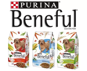 Purina Beneful Dog Food Review (2024) Best Food