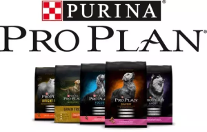 Purina Pro Plan Dog Food Review (2024) Best Food