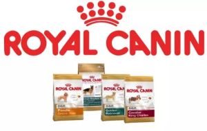 Royal Canin Dog Food Review (2024) Best Food