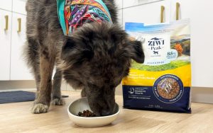 Ziwi Peak Dog Food Review (2024) - Best Food For Your Pup