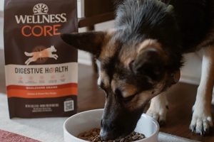 Wellness Dog Food Review (2024)