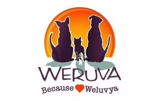 Weruva Dog Food Review (2024)