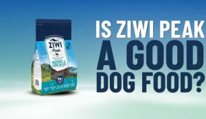 Ziwi Peak Dog Food Review (2024) - Premium Food