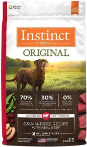 The 10 Best Dry Dog Food Brands For 2024