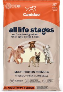 The 10 Best Dry Dog Food Brands For 2024