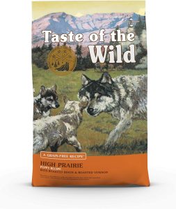 The 10 Best Dry Dog Food Brands For 2024